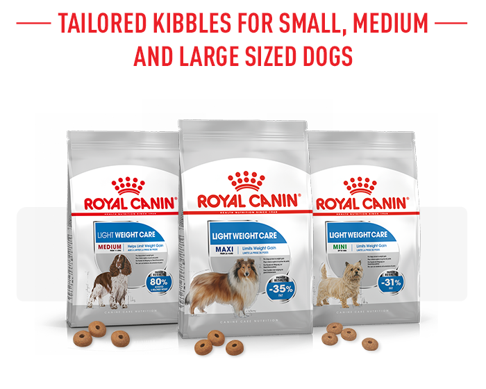 Zooplus royal sales canin puppy maxi